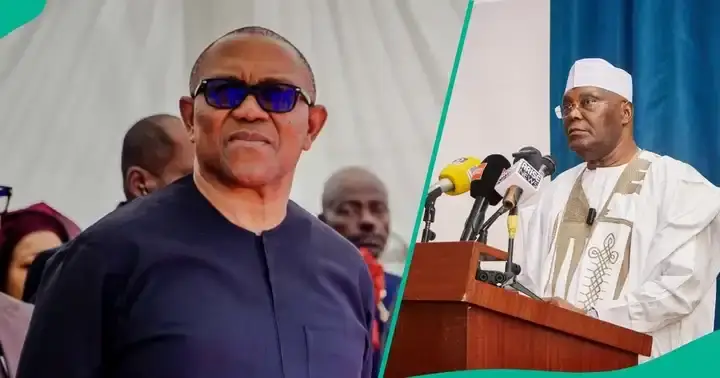 2027 Election: ADC Presidential Slot Battle Deepens as Northern Obidients Warn Against Making Obi VP